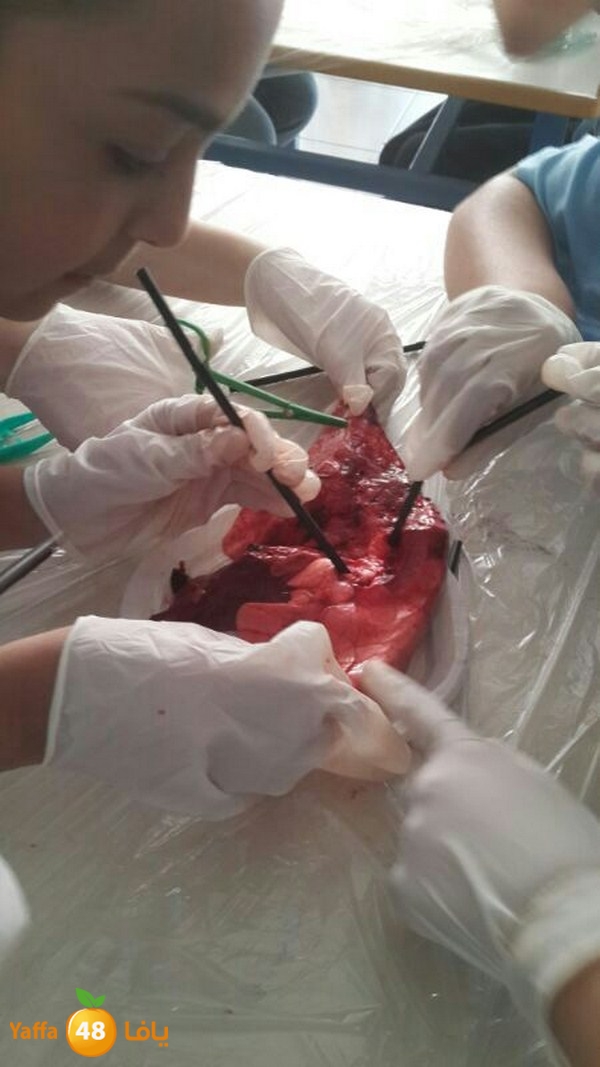 ajyal teb 0311 (5).JPG